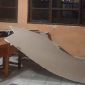 Plafon SDN Kutamaneuh 2 jebol pascagempa Bekasi, untungnya tidak ada aktivitas belajar saat kejadian. (Dok. BNPB)

